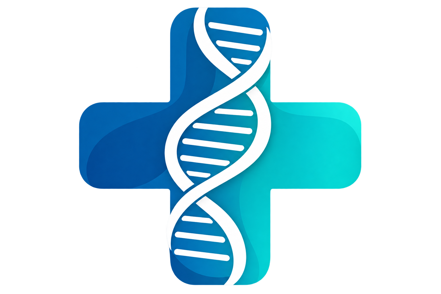 Logo BiomedSystem